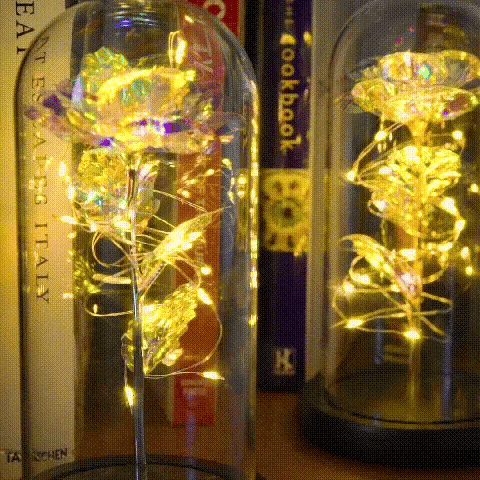 Enchanted Galaxy Rose