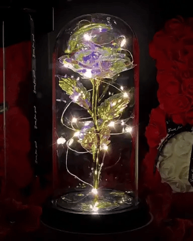 Enchanted Galaxy Rose